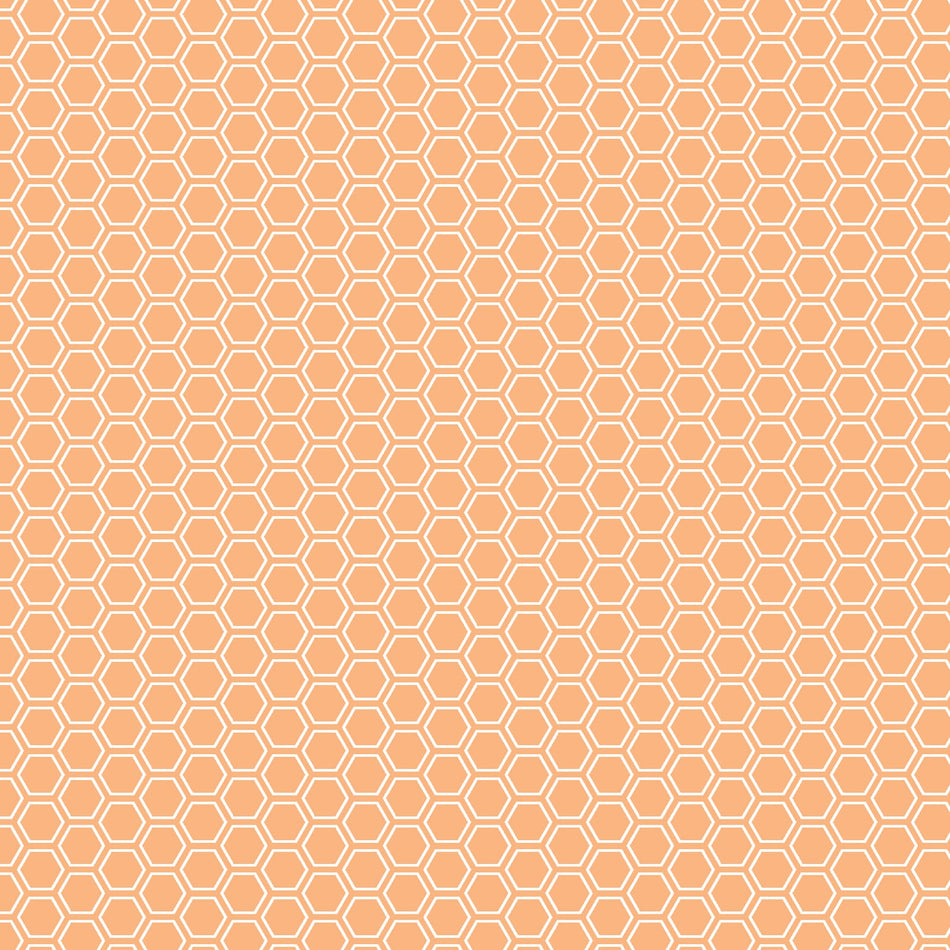 Kimberbell Basics Honeycomb (Orange) 1/2 yard