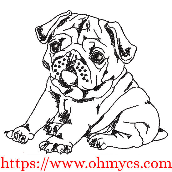 Pug Puppy Sketch Embroidery Design