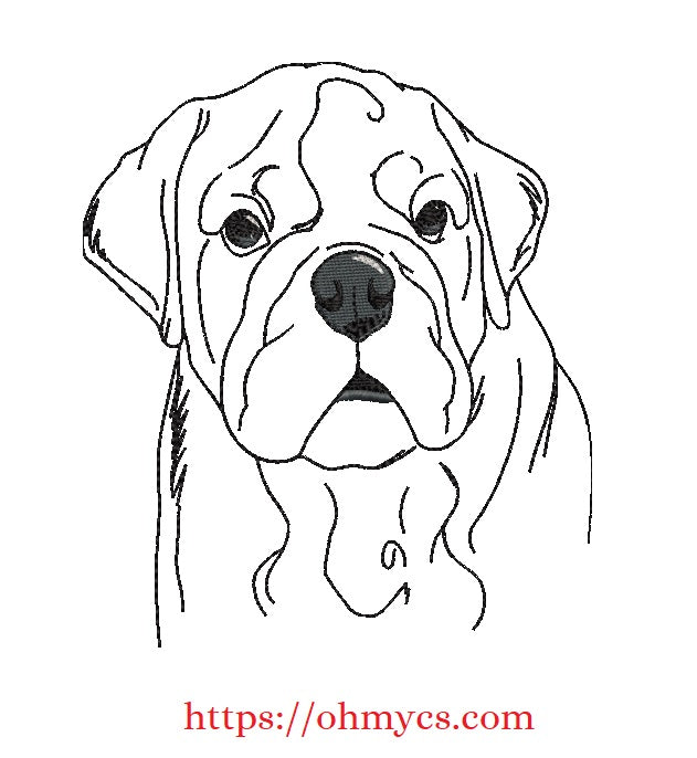 Sketch English Bulldog Embroidery Design