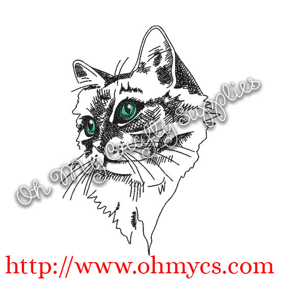 Sketch Cat with Colored Eyes Embroidery Design