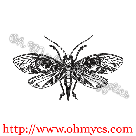 Flying Bug Sketch Embroidery Design