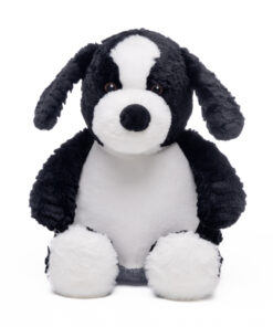 Baby Border Collie