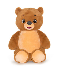 Signature Bear — Case of 15