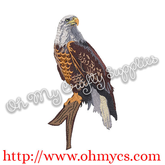 Realistic Solid Stitch Bald Eagle Embroidery Design