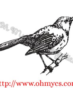 Sketch Bird on a Branch 3 Embroidery Design