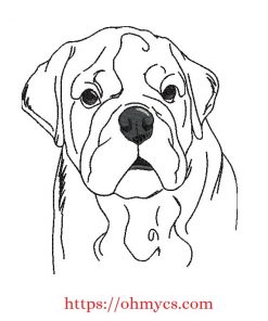 Sketch English Bulldog Embroidery Design