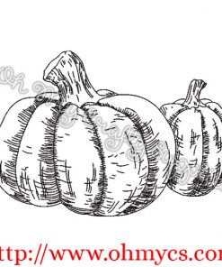 Sketch Pumpkin Pair Embroidery Design