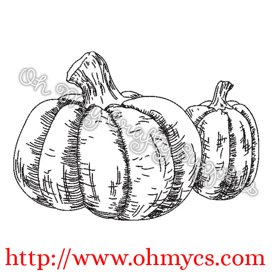 Sketch Pumpkin Pair Embroidery Design