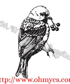Sketch Bird on a Branch Embroidery Design