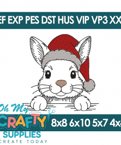 Santa Snuggle Nose Embroidery Design